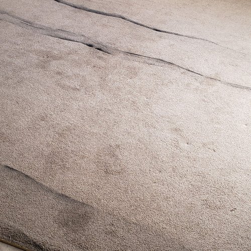 Carpet Cleaning - Before