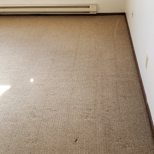 Carpet Cleaning - After