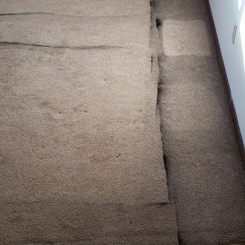 Carpet Cleaning - Before