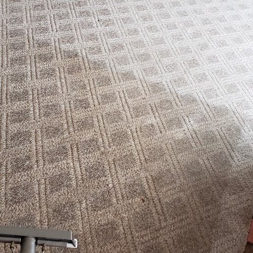 Carpet Cleaning